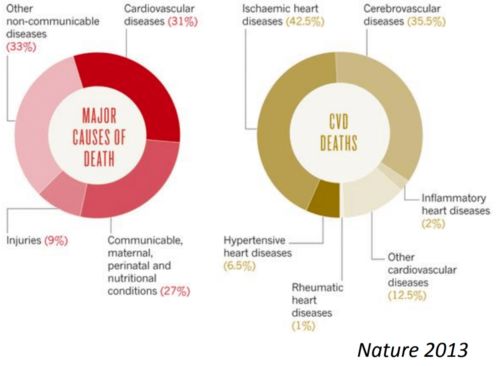 NTU研發(fā)革命性AI工具 基于先進(jìn)理論與算法，賦能心電圖精準(zhǔn)解讀